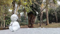 caida_nieve_lampazos_de_naranjo_nuevo_leon_97156721ef