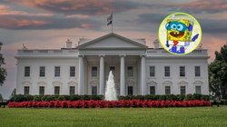 casa_blanca_bob_esponja_ba6dbdacff