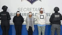 chihuahua_a19b2d6380