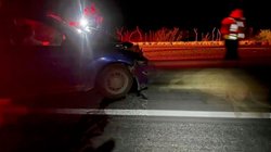 choque_vaca_carretera_0a1dcece8b