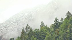 coahuila_bajas_temperaturas_nevada_349459fd62