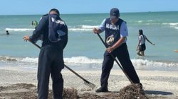 derrame_golfo_pemex_fgr_8c66b87195