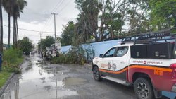 desagues_reynosa_c345209137