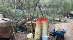 destruyen_dos_toneladas_durango_ab1e2299b2