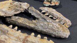 df580674_97b5_469a_9e3c_baa7ebde41a2_jpegdf580674_97b5_469a_9e3c_baa7ebde41a2_eb0acb237e