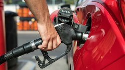 diesel_sheinbaum_ce57379b82