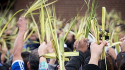 domingo_ramos_inicio_semana_santa_b694f46ffd