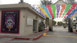 e86eb6d3_21bc_490c_986e_2cc73d99b395_5195538f11