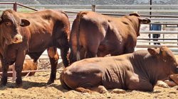 ea039e64_7899_4465_b009_3a789e878b6e_9bdf56c537