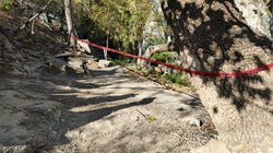 ebc0ee9e_58a0_4504_a59c_76c505f67b47_19ec6493e7