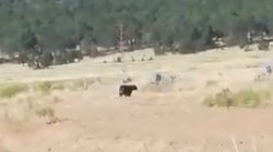 ed766654_2f9b_494e_89de_6254f05ea9f5_053b7ef030