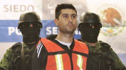 el_85_se_declarara_culpable_eu_2895ccc61a