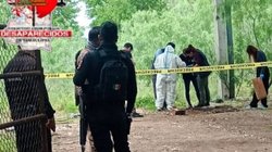 el_horizonte_info7_mx_12_2e2690f4fa