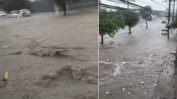 el_horizonte_info7_mx_6_6ed51141b9