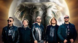 elefante_vuelve_monterrey_con_tour_30_aniversario_be8820cc4c