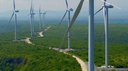 energia_eolica_tamaulipas1_cbfdfeba73