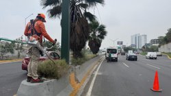 enfocan_labores_mantenimiento_vialidades_rumbo_mundial_7f129f8c39