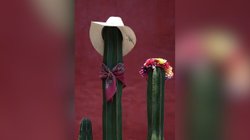 escena_exposicion_firda_abbcc25e2e