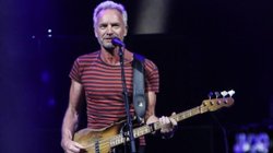 escena_sting_df9ac2e4d0