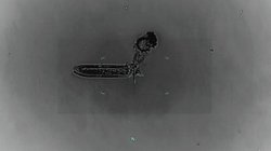 eua_oman_petrolero_45c1e1397c