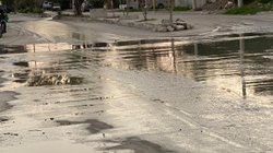 fb38079e_e99f_4444_a48b_8e1459146a92_9a57d0dcbe