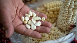 finanzas_granos_mexicanos_b04ce65e7f