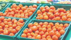 finanzas_tomate_c6fb51b3f3