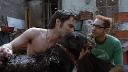 gael_garcia_amores_perros_02a1b29f07