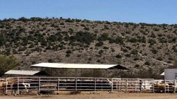 ganaderia_903ef8839e