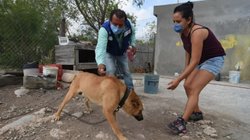 garrapatas_e1a51871e7