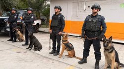 guadalupe_fortalece_1bfa913e8b