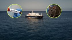 hantavirus_crucero_04b92f5d30