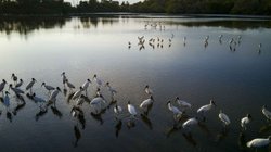 humedales_dia_mundial_onu_60ade01c1b