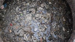 image00004_1_0c690920cb