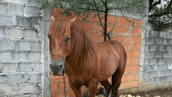 image_c55f097c22