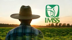 imss_migrantes_bbae5b0cb1