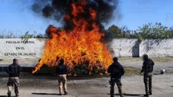 incineran_toneladas_narcoticos_jalisco_2d1b0d57c9