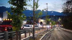 inicia_arbolizacion_circuitos_lineales_morones_prieto_84d1db58e9