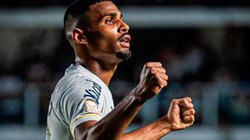 joaquim_tigres_santos_1024x678_52523c5e5e