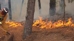large_incendios_forestales_nl_00818342c1_92f9c032e1