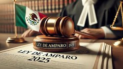 ley_amparo_2025_1dcec3860c