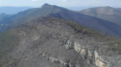 liquidan_incendio_forestal_puerto_del_volcan_55bdc357d1