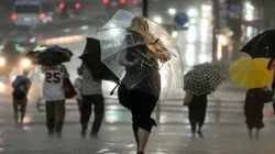 lluvia_archivo_33df2597ac