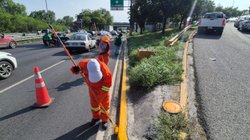 mantienen_acciones_para_mejorar_imagen_urbana_de_nuevo_leon_e6914602d4