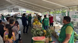 mercadito_ramos_arizpe_14a653e9db