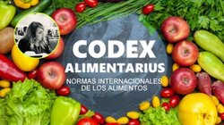 mexico_codex_66d6a63ec8