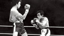 miguel_canto_box_01b49c9730