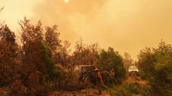 milei_declara_desastre_incendio_patagonia_0d5c07f38b