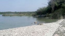 muerte_peces_tamaulipas1_2db462839a