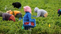 mujeres_mexicanas_eua_efb86e693d